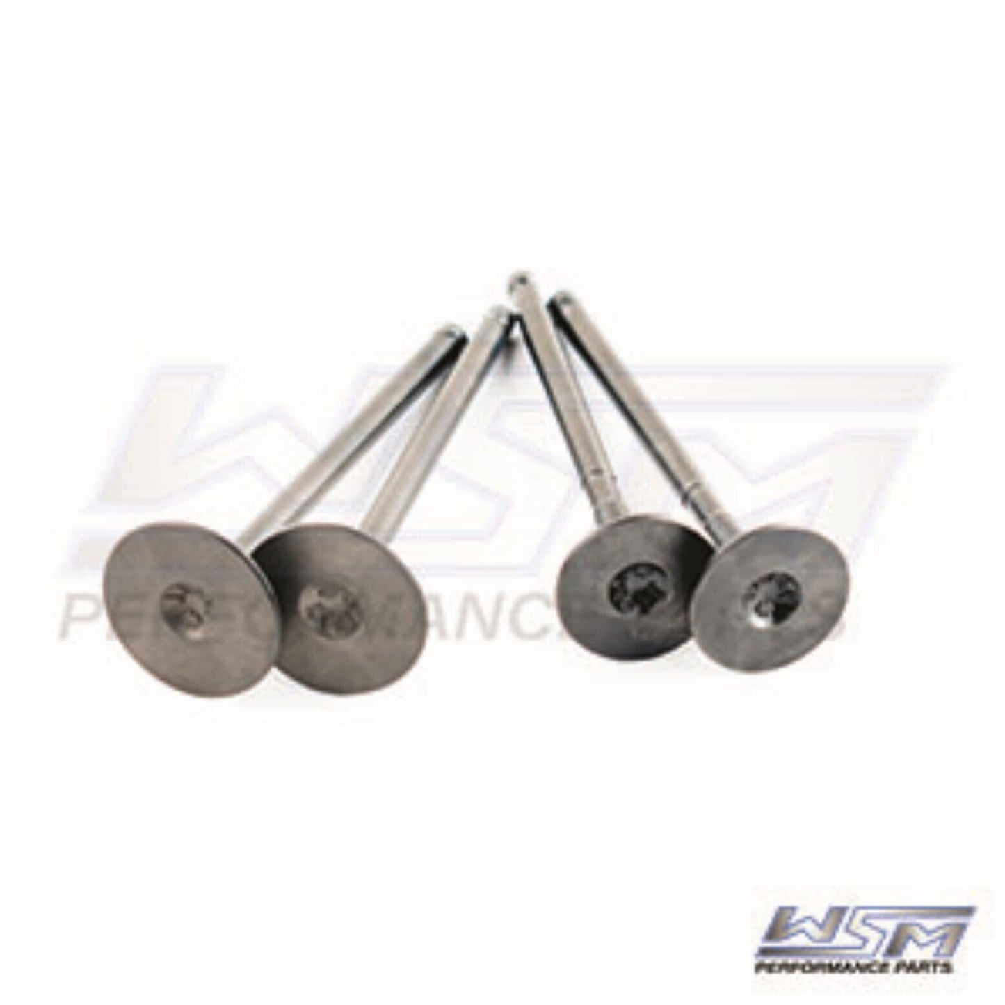WSM Engine Valve Kit Polaris 400 - 500 - 96-14 - 017-401, 3085349, 3085412