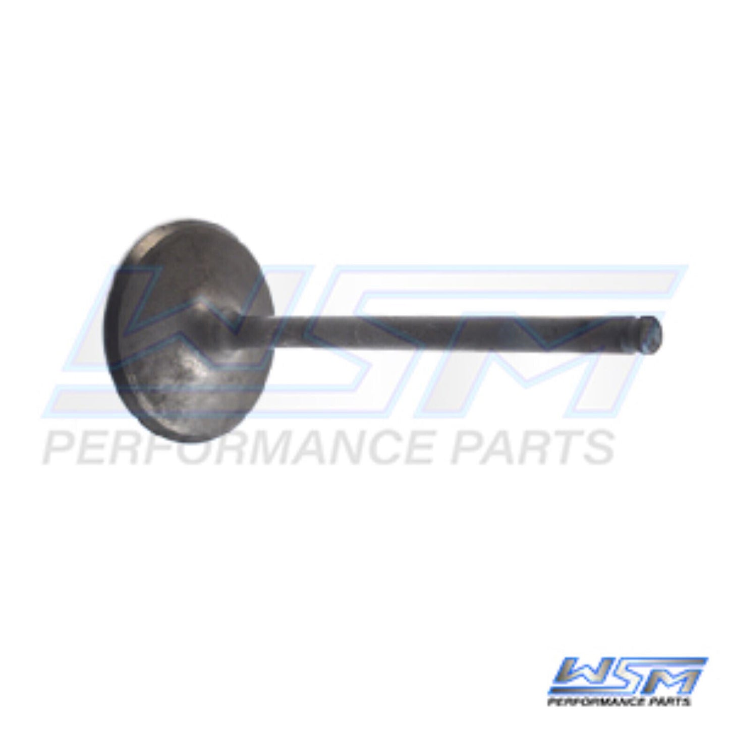 WSM Intake Valve Polaris 450 - 1000 - 11-24 - 017-403-01, 3022134
