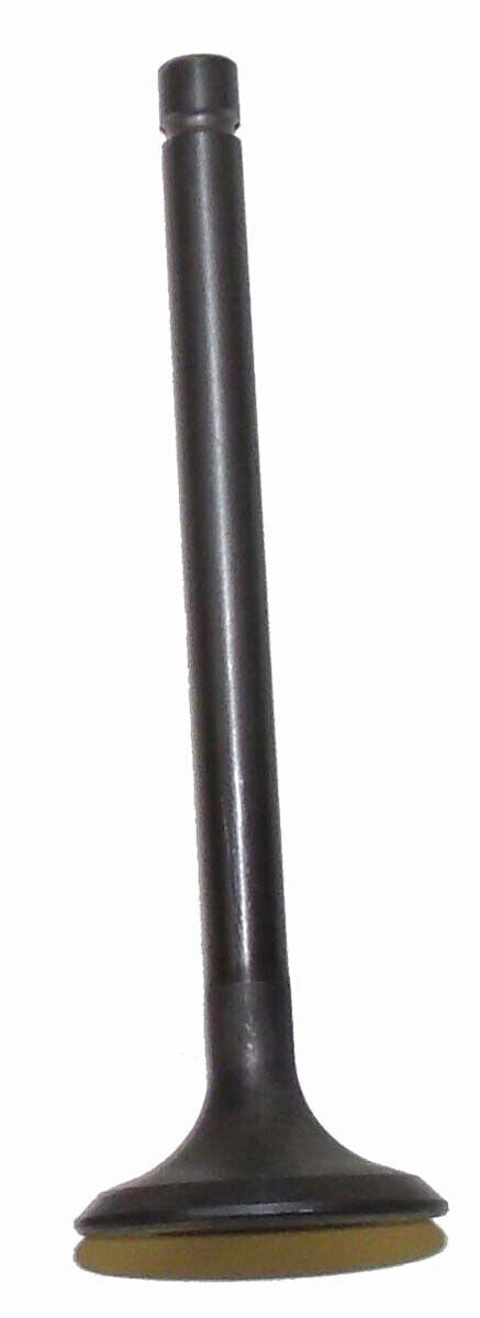 WSM Exhaust Valve Kawasaki 200 - 300 81-04 - 017-101-02, 12005-1005