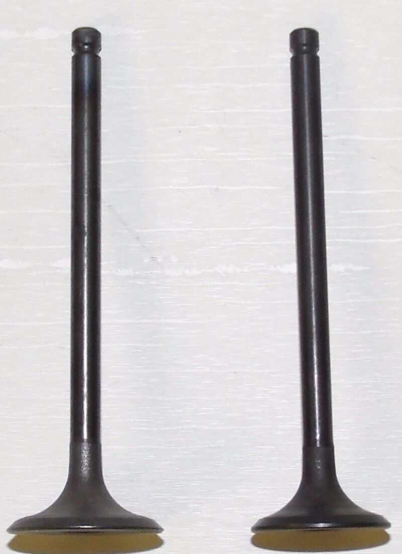 WSM 160 LT 1989-2001 Engine Valve Kit 017-206
