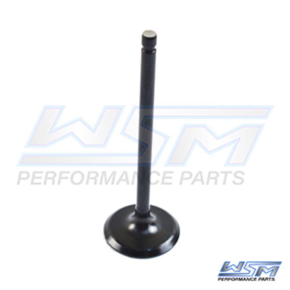 WSM INTAKE VALVE YAMAHA 115 HP 4-STROKE 14-21 - 120-262, 6EK-12111-00-00