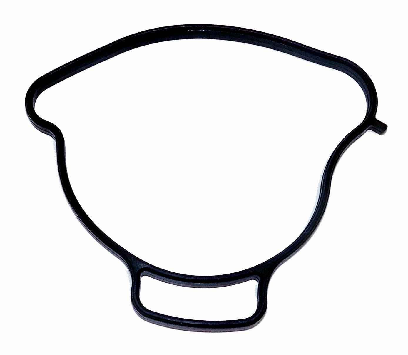 WSM Sea-Doo 900 Water Pump Gasket - '14-'24, - 008-599-29, 420431680, 4204316