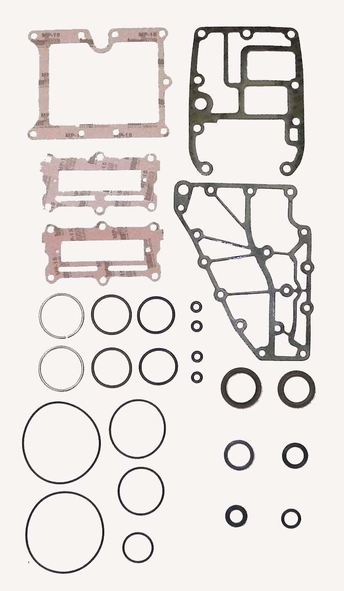  WSM Johnson / Evinrude 40-60 Hp 2 Cyl E-Tec Rebuild Kit 100-126-10, 5005733