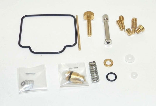 WSM 200 DR 1996-2009 Carburetor Kit 016-843