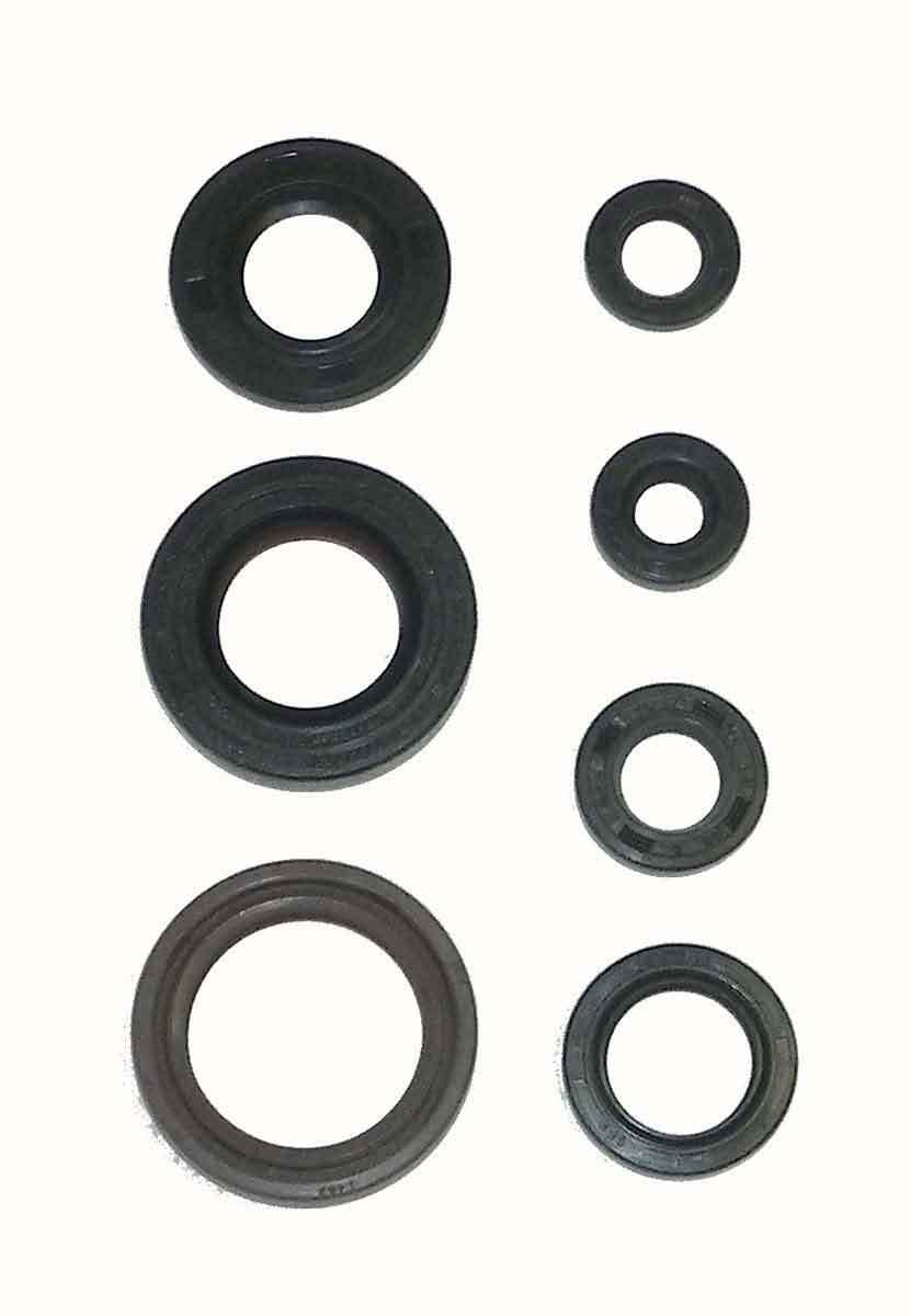 WSM Yamaha 200 Blaster 1988-2006 Engine Oil Seal Kit - 21-500
