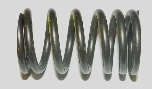 WSM Sea-Doo 1503/1630 Outer Valve Spring '02-'23, 010-030, 420238180, 711238180