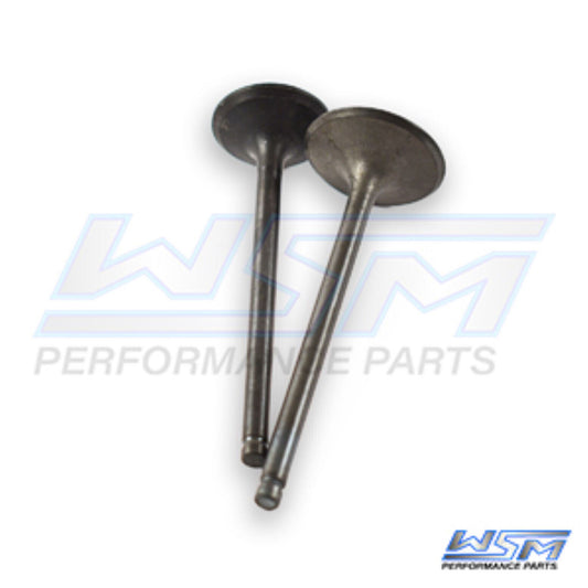 WSM Engine Valve Kit Honda 250 TRX-EX 01-08 - 017-026, 14711-HN6-000, 14721-HN6-
