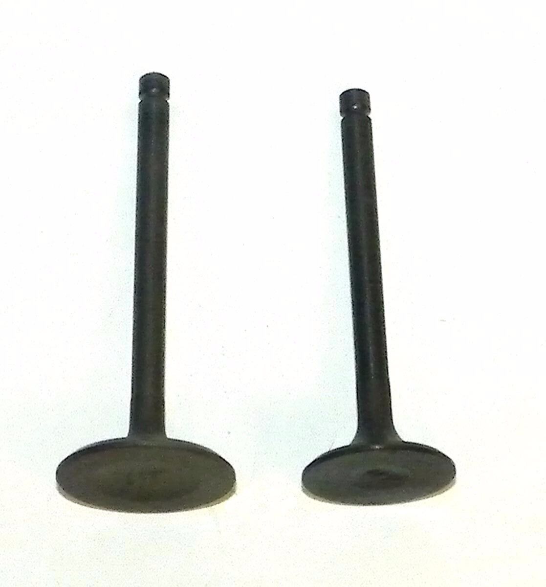 WSM Yamaha 600 Grizzly 1998-2001 Engine Valve Kit 017-311