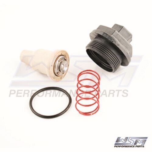 WSM Thermostat Kit Johnson / Evinrude 150 / 175 Hp 60 Degree 91-92, 780-165