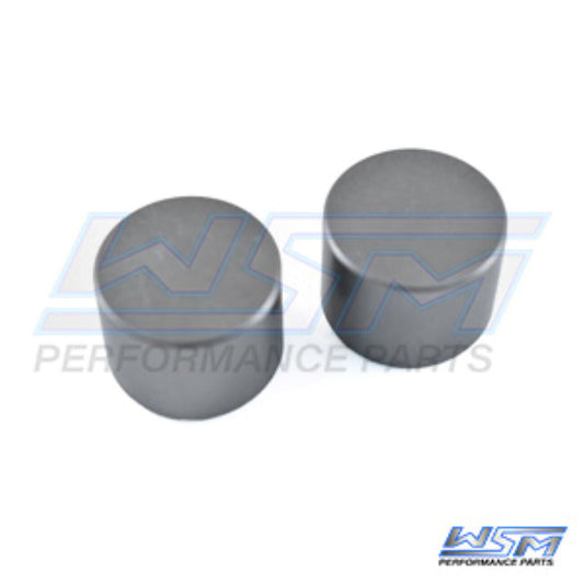 WSM BUCKET VALVE, INTAKE YAMAHA 1000 / 1100 '05-'15, 010-002-09, 3FV-12153-10-00