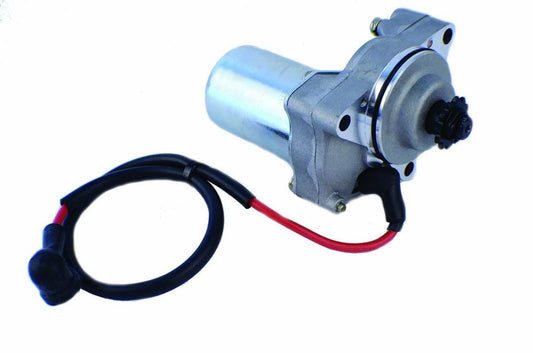 WSM 12 VOLT CCW ROTATION BMS MOTOR SPORTS 12 Teeth - PH110-BM05