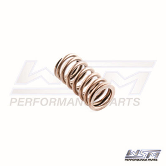 WSM VALVE SPRING YAMAHA 150 - 225 HP 4-STROKE '02-10 - 120-310,  69J-12113-01-00