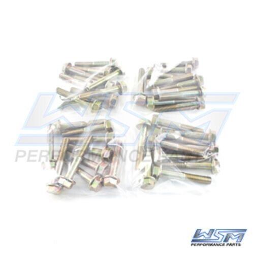 WSM HEAD BOLTS MERCURY 110 - 300 HP V6 2.5L / 3L (40 PACK), 820-105-40, 10-8M00