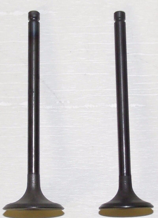 WSM 160 LT 1989-2001 Engine Valve Kit 017-206