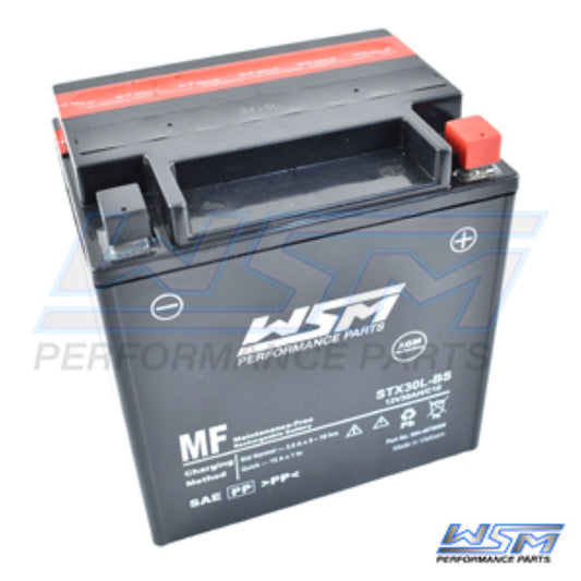 WSM Maintenance Free Battery STX30L-BS -  004-407WSM