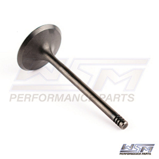WSM INTAKE VALVE, SEA-DOO 1503 / 1630 4-TEC - '02-'24- 010-005, 420254290