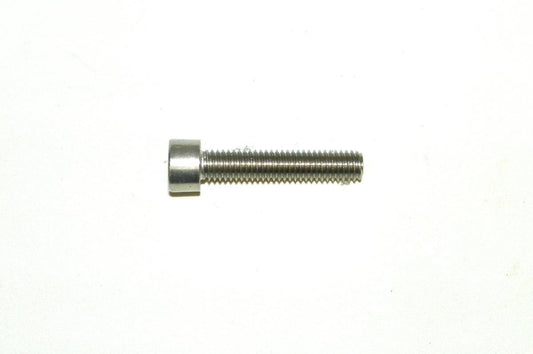 WSM 6 X 30 Stainless Socket Head Bolt 014-107