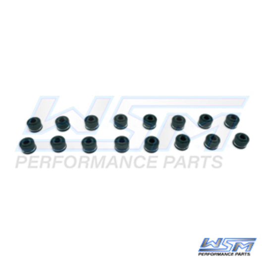 WSM Valve Stem Seal 2.5 - 350 Hp / 1000 / 1800 / 1900 Pack of 16 - 010-053K