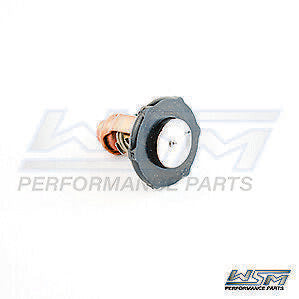 WSM THERMOSTAT: YAMAHA 75-90 HP 4 STROKE 2016-UP - 775-240, 18-3641, 6FP-12411-0