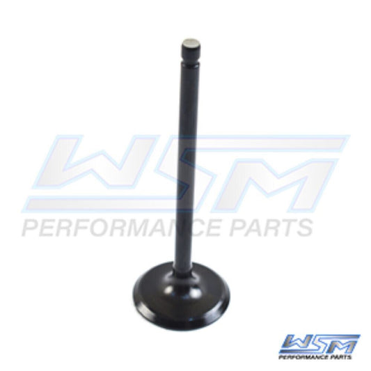 WSM INTAKE VALVE YAMAHA 115 HP 4-STROKE 14-21 - 120-262, 6EK-12111-00-00