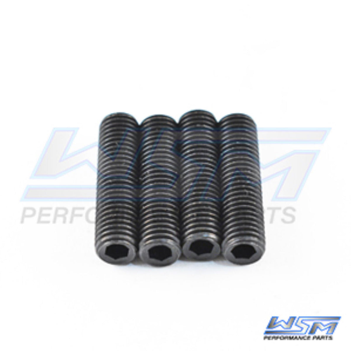 Precision Trim Cylinder End Cap Remover Pins Johnson / Evinrude - 983-409P
