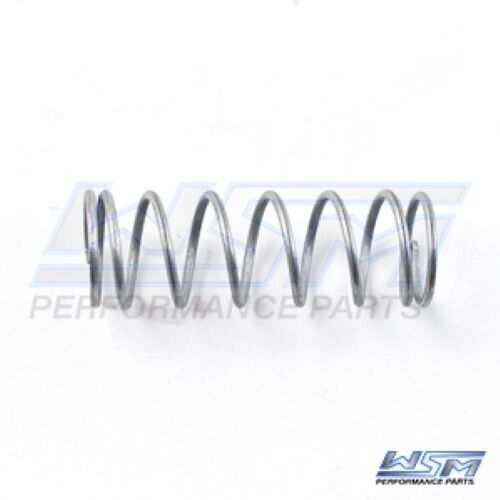 WSM Thermostat Spring Evinrude 200 - 300 Hp E-Tec / FFI, 781-100-01, 0345171