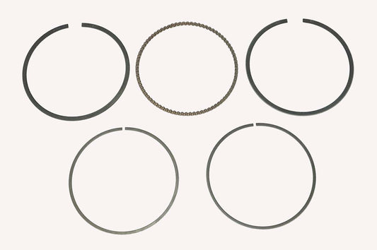 WSM  Kawasaki 400 Bayou / Prairie 1993-2002 Ring Set - 51-251, 13008-1142