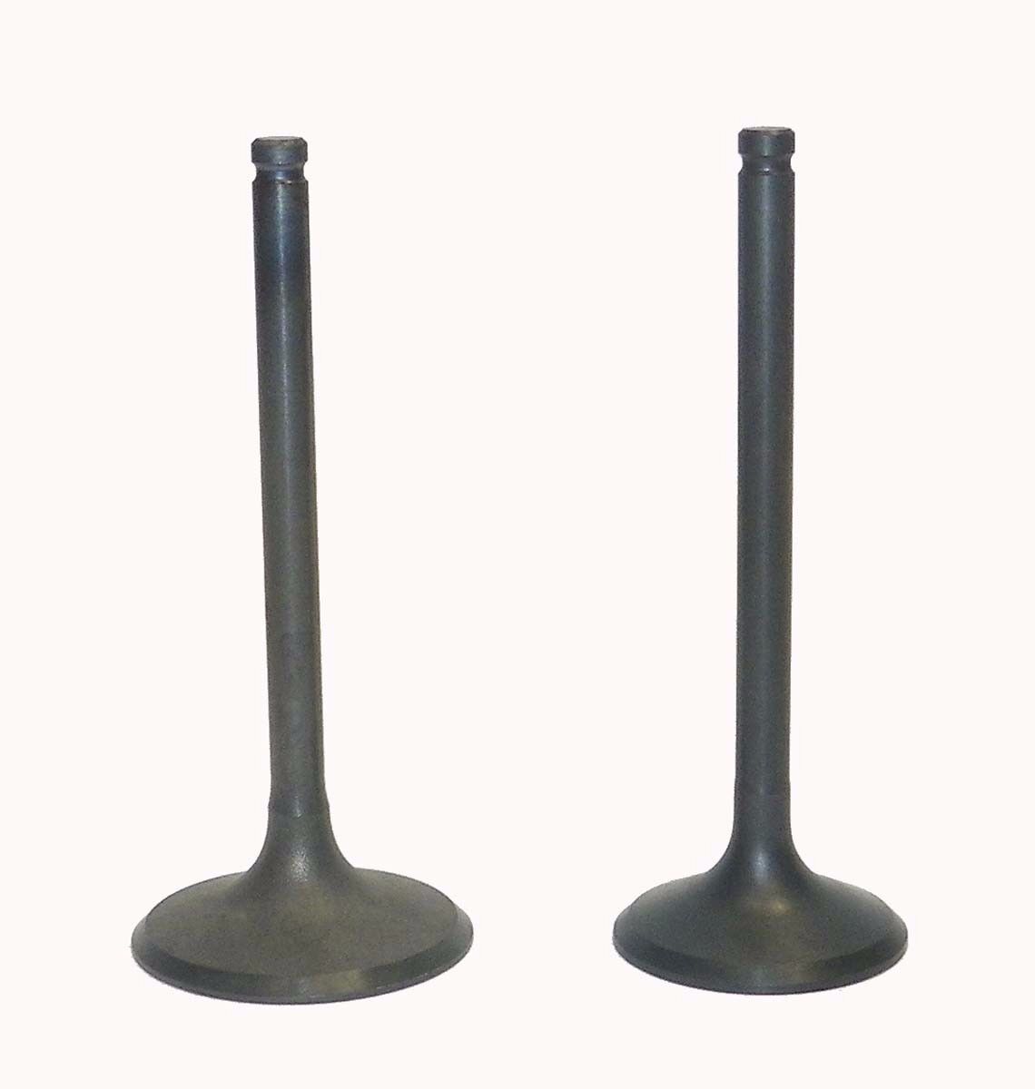 WSM Honda 450 TRX Foreman 1998-2004 Engine Valve Kit 017-030 