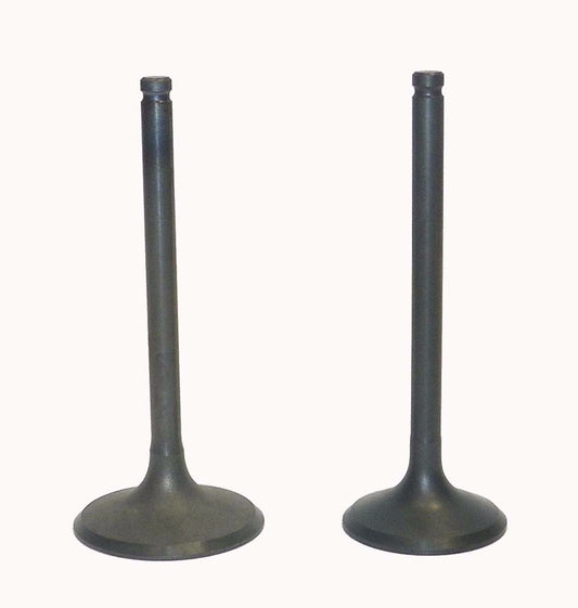 WSM Honda 450 TRX Foreman 1998-2004 Engine Valve Kit 017-030 