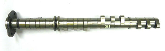 WSM Camshaft, Intake Yamaha 1000 - '03-08 - 010-086, 60E-12171-00-00