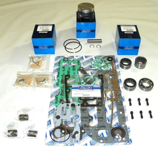  WSM Johnson Evinrude 75 / 90 Hp 3 Cyl E-Tec Rebuild 100-126-20, 5005733, 500673