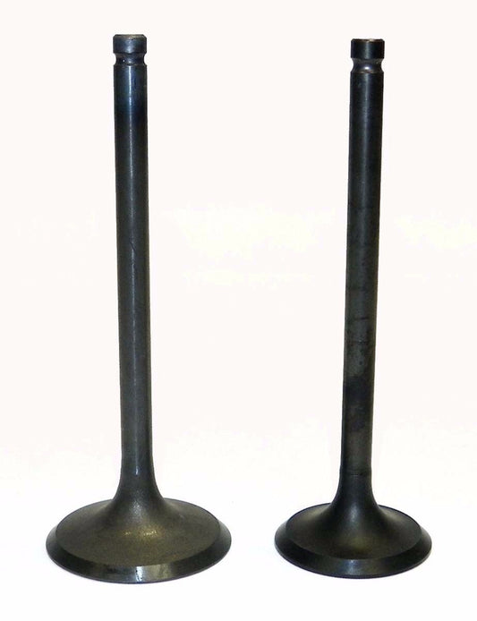 WSM 250 / 300 LT-F Engine Valve Kit '87-'02 017-205