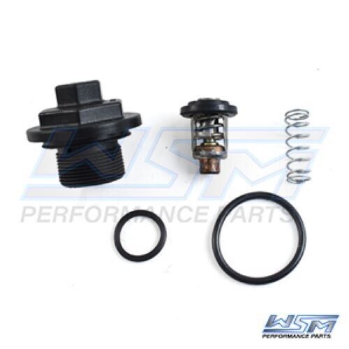 WSM Thermostat Kit Johnson Evinrude 200 - 300 Hp E-Tec / FFI 780-170, 034477