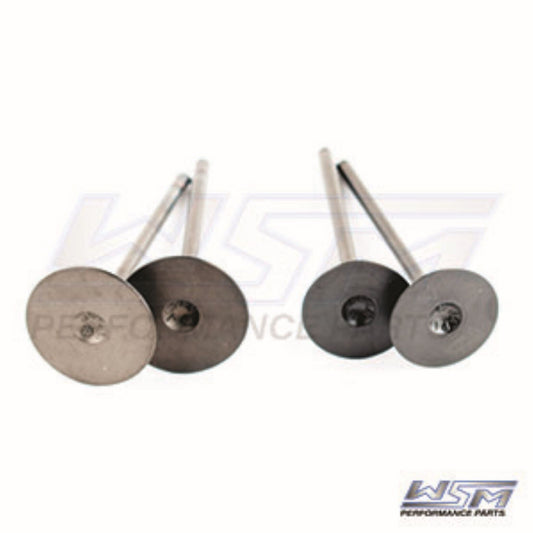 WSM Engine Valve Kit Polaris 450 / 570 / 850 11-24 - 017-403, 3022134, 3022349