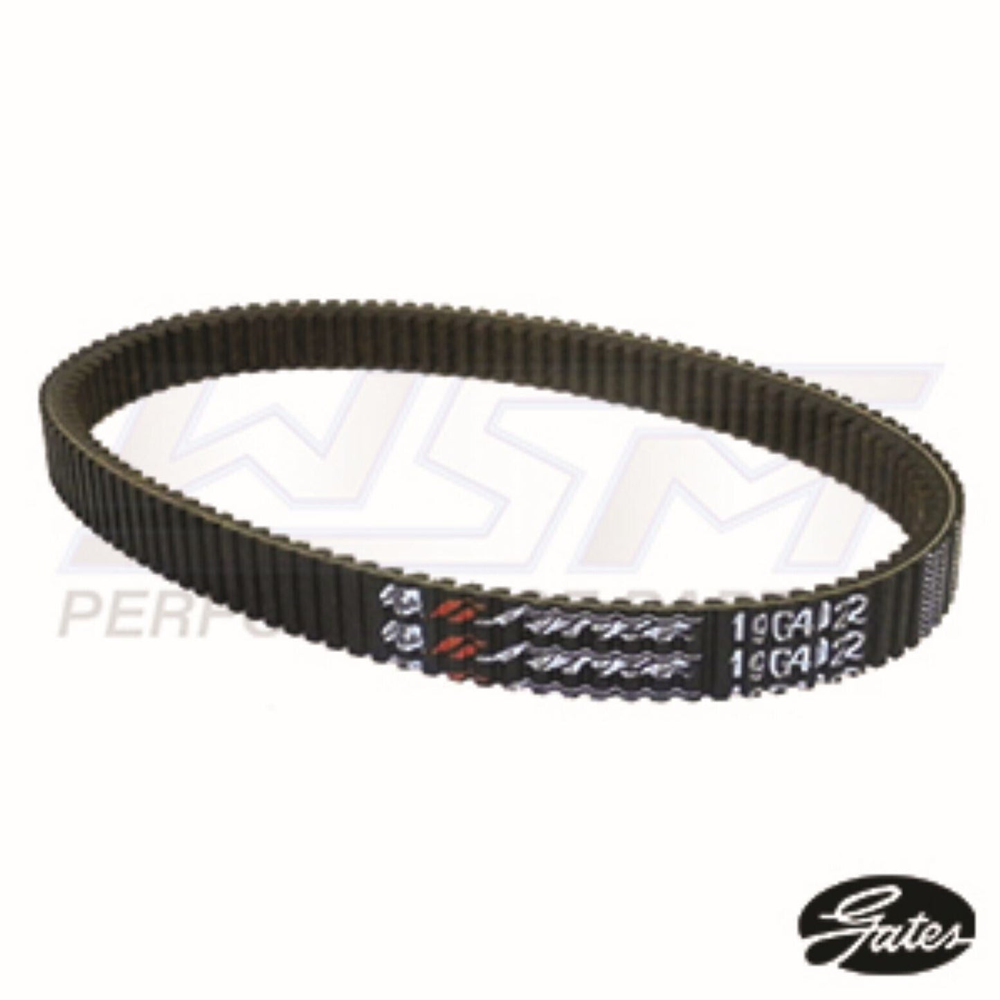 WSM Drive Belt Polaris 700 / 800 Ranger / Sportsman 05-09 -  19G4022, 3211106